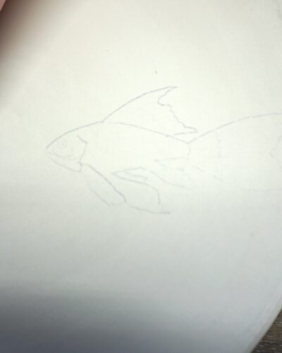 Pauspapier 1 Blatt A4