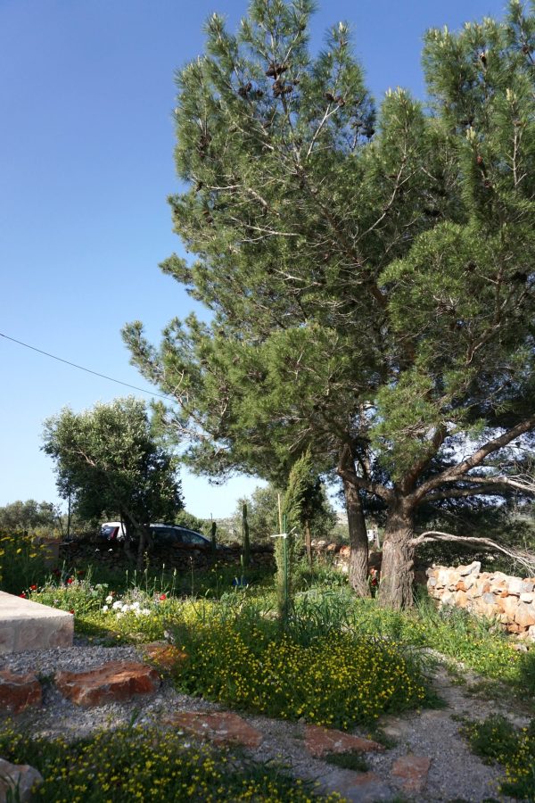 Garten Westseite