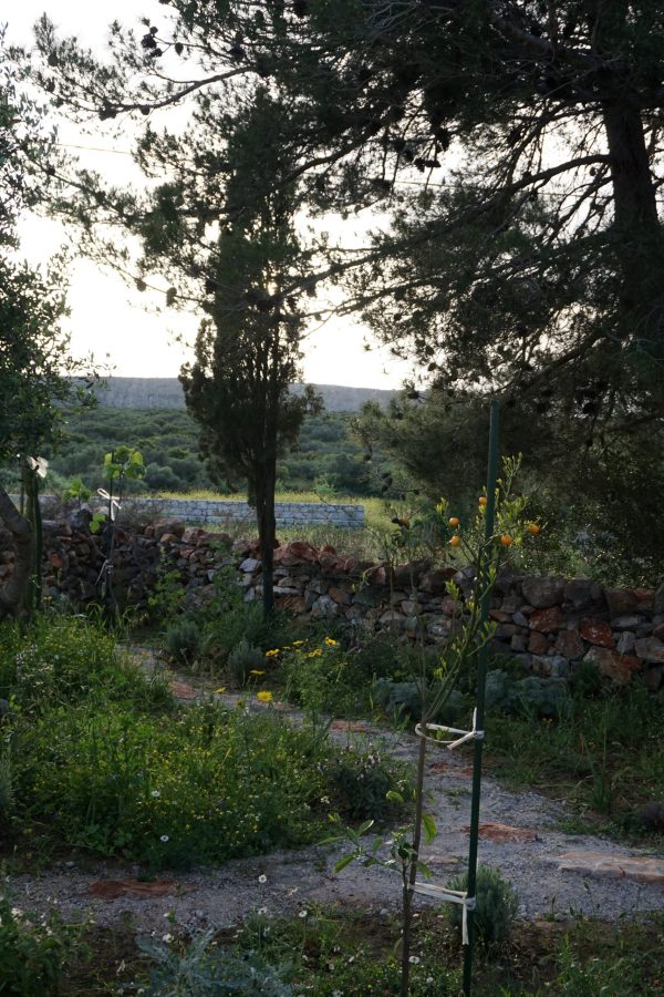 Garten Weste Abendstimmung