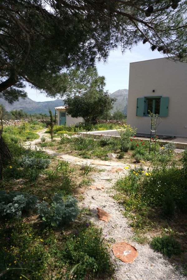 Blick zum Haus und Gartenhaus